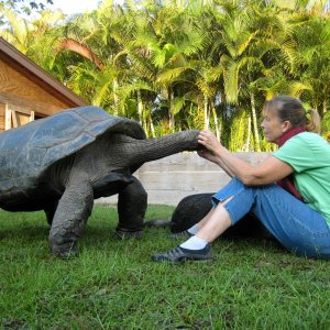 ALDABRA BREEDER