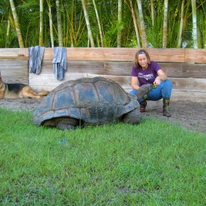 ALDABRA BREEDER