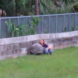 ALDABRA BREEDER