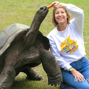 ALDABRA BREEDER