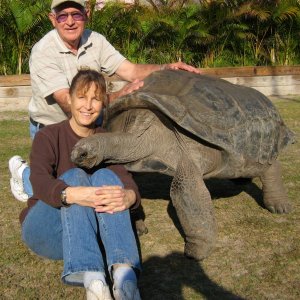 ALDABRA BREEDER