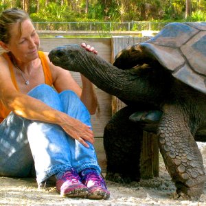 ALDABRA BREEDER
