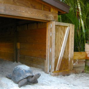 ALDABRA BREEDER