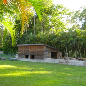 ALDABRA BREEDER
