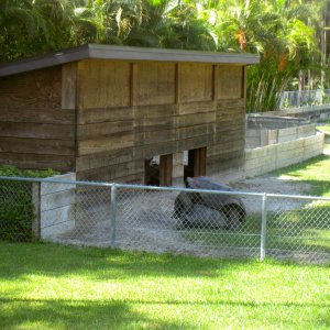 ALDABRA BREEDER
