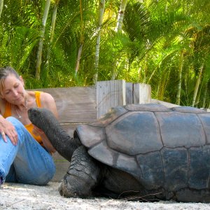 ALDABRA BREEDER