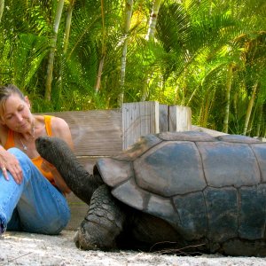 ALDABRA BREEDER