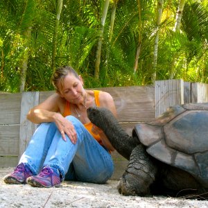 ALDABRA BREEDER