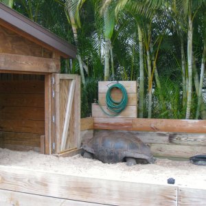ALDABRA BREEDER