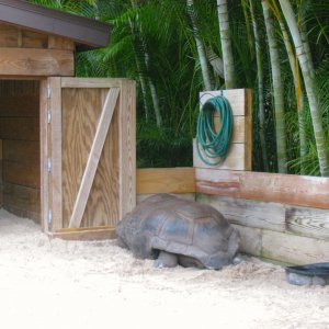 ALDABRA BREEDER