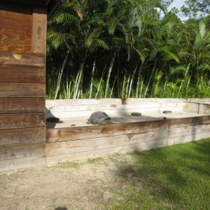 ALDABRA BREEDER