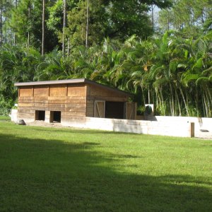 ALDABRA BREEDER