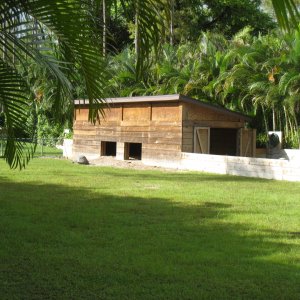 ALDABRA BREEDER