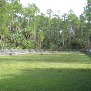 ALDABRA BREEDER