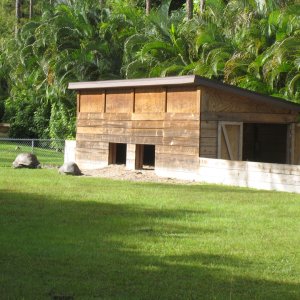 ALDABRA BREEDER