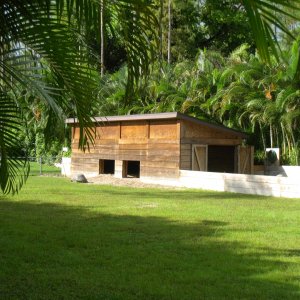 ALDABRA BREEDER