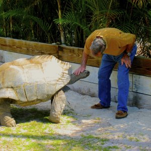ALDABRA BREEDER
