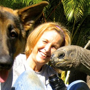 ALDABRA BREEDER
