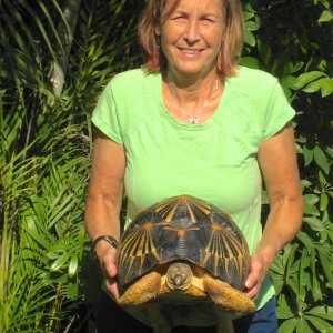 ALDABRA BREEDER