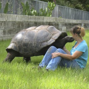 ALDABRA BREEDER