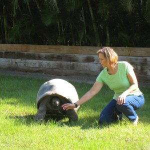 ALDABRA BREEDER