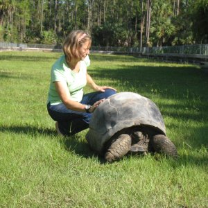 ALDABRA BREEDER