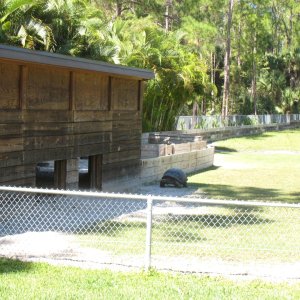 ALDABRA BREEDER