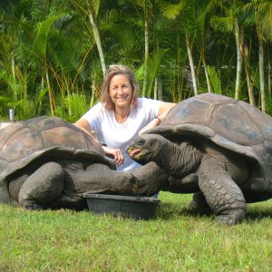 ALDABRA BREEDER