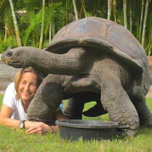 ALDABRA BREEDER