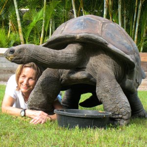 ALDABRA BREEDER