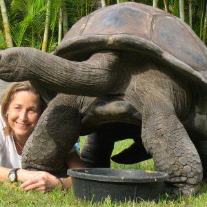 ALDABRA BREEDER