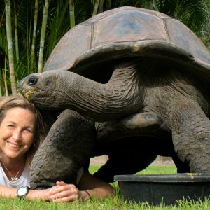 ALDABRA BREEDER
