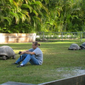 ALDABRA BREEDER