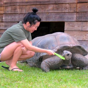 ALDABRA BREEDER