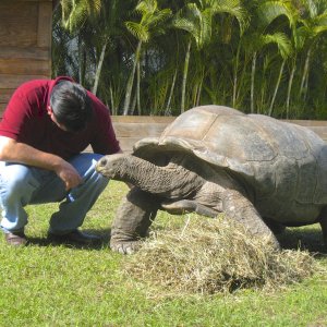 ALDABRA BREEDER