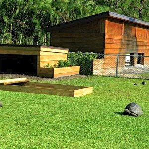 ALDABRA BREEDER
