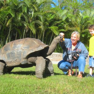 ALDABRA BREEDER