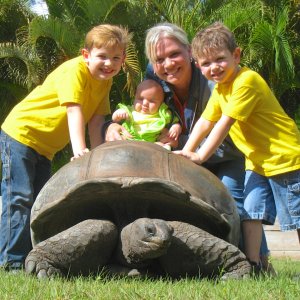 ALDABRA BREEDER