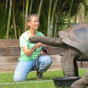 ALDABRA BREEDER