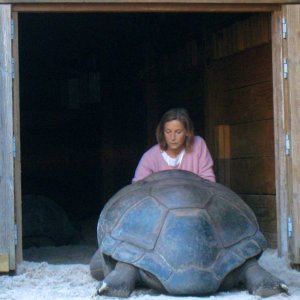 ALDABRA BREEDER