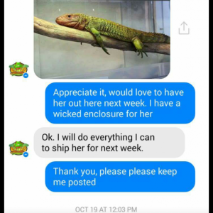 Screenshot_2015-12-08-15-01-57