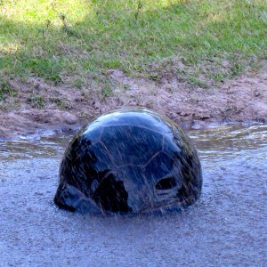 Aldabra Breeders