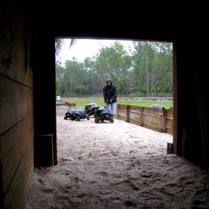 Aldabra Breeders