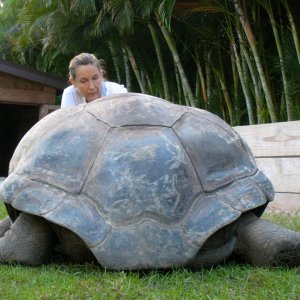Aldabra Breeders