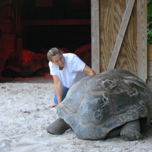 Aldabra Breeders