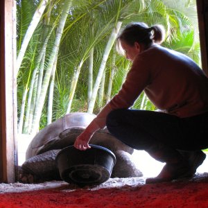 Aldabra Breeders