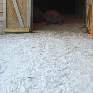 Aldabra Breeders