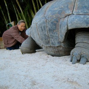 Aldabra Breeders
