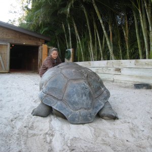Aldabra Breeders