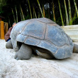 Aldabra Breeders